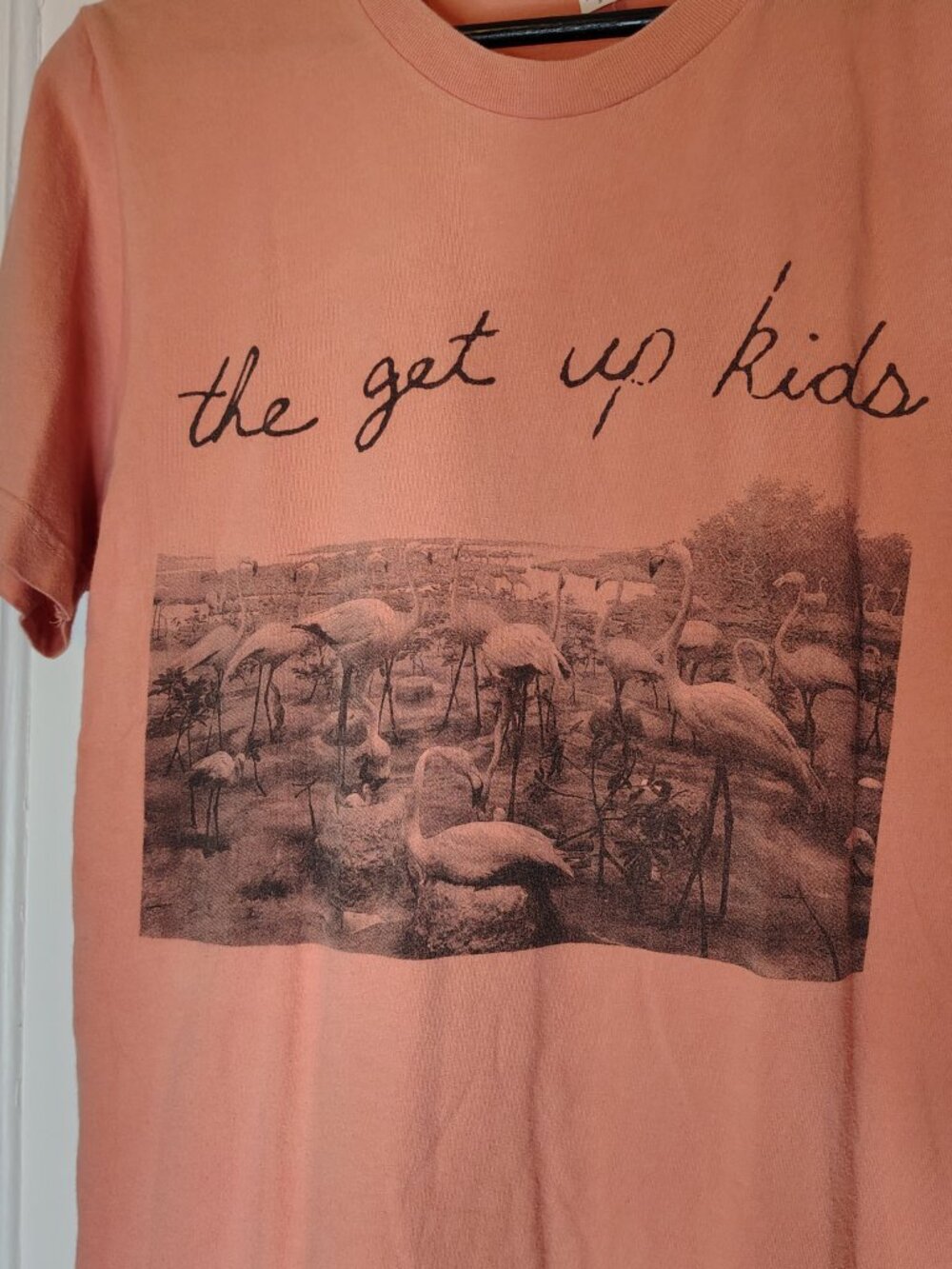 The Get Up Kids Band Problems Flamingo Crew Neck Short Sleeve T-Shirt Mens Small - Picture 2 of 5